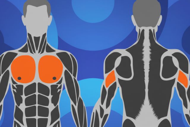 what muscles do bench press work