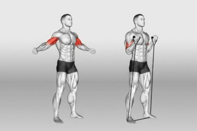 how to get big biceps