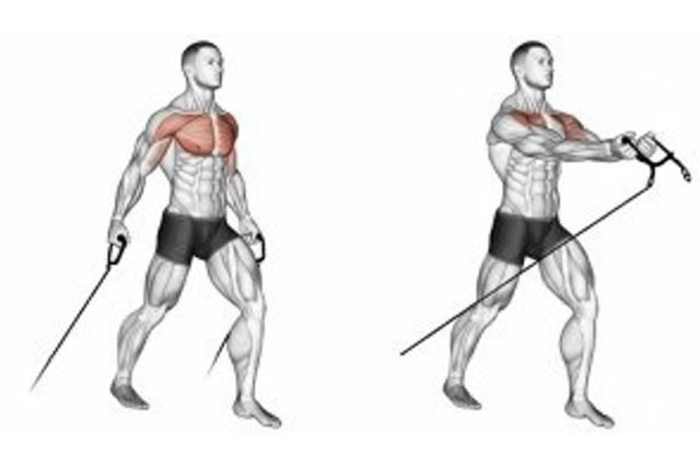 chest workouts with cables