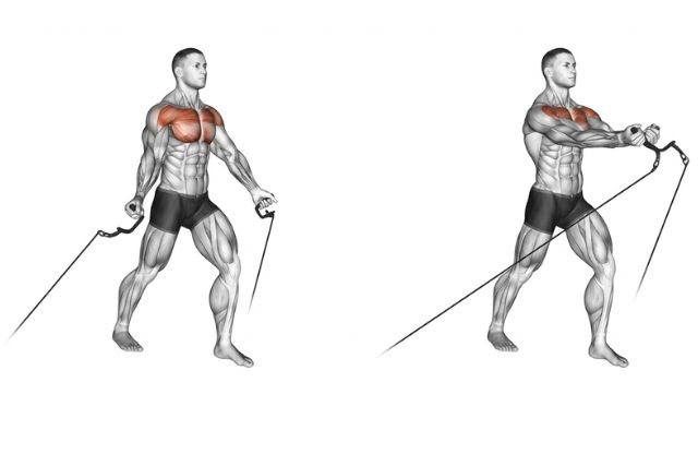 exercises for upper chest